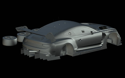 Bentley Continental GT3 (2019)