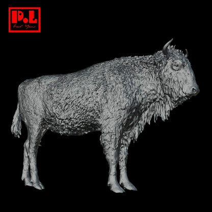 Bison — 3D print STL files