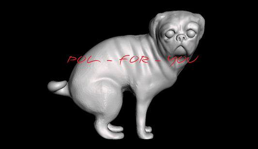 Pug Dog (Fouling)