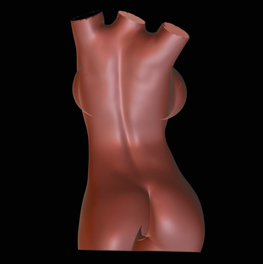 GIRL - Nude Woman TORSO