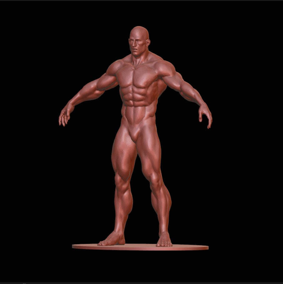 MAN - Bodybuilder