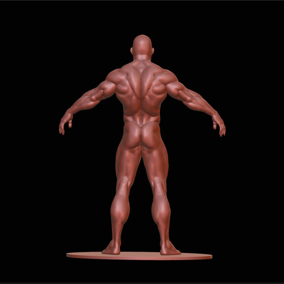 MAN - Bodybuilder